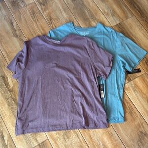 Set of two Banana Republic Basic Tees - Purple and Blue. New with tags